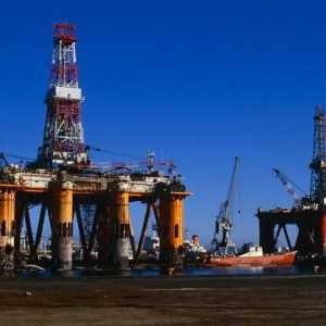 Petrolul Petro Canada: recenzii ale clienților