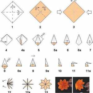 Master class, cum să faci origami pe 8 martie cu mâinile lor