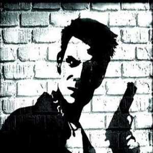 Max Payne - pasajul, parcela și punctele principale
