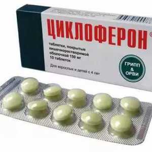 Meglyumina akridonatsetat, imunostimulant: instrucțiune de utilizare