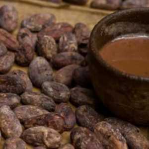 Мексиканский древний народный напиток. История шоколада