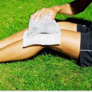 Menisci ale articulației genunchiului: leziuni și tratament
