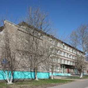 Colegiul metalurgic Cherepovets: Istorie și modernitate