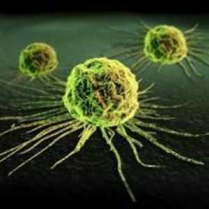Metode de detectare a celulelor canceroase în corpul uman