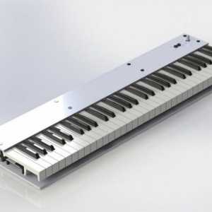 MIDI tastatură - domeniul de aplicare și caracteristicile principale