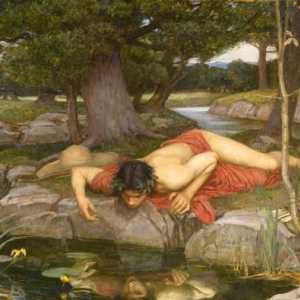 Mitul lui Narcissus: un înțeles concis și ascuns
