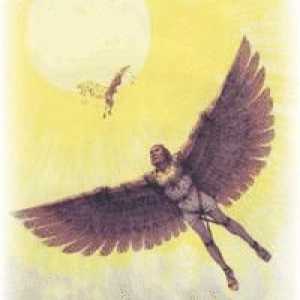 Mituri ale Greciei antice: Daedalus și Icarus. Legendă rezumat, imagini