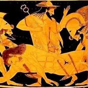 Mituri ale Greciei antice. Rezumat în performanța lui N. Kuna - o carte a tuturor timpurilor și…