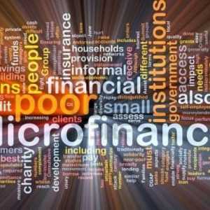 Organizații de microfinanțare: listă. O organizație de microfinanțare este ...