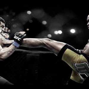 MMA: clasamentul luptătorilor (TOP-3)