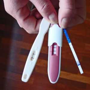 Teste de sarcină reutilizabile - un alt pas de succes în domeniul tehnologiei digitale