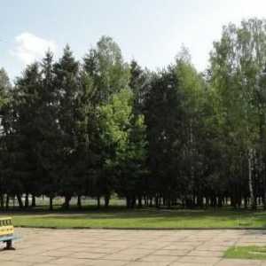Mogilev, sanatoriu `Sosny`: fotografii și comentarii turistice