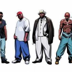 Subcultura tinerilor: rapperi