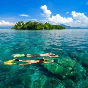 Marea de Sulawesi: locație, descriere și faună