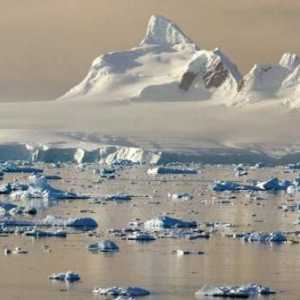 Marea Weddell și caracteristicile sale