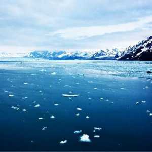 Marea Oceanului Arctic: listă, caracteristici, caracteristici