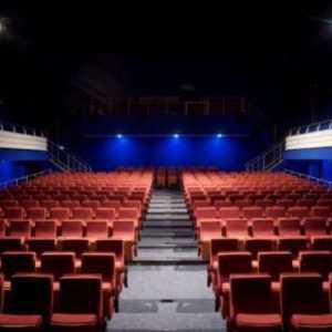 Teatrul Regional de Teatru Teatru Tineret al Tineri Spectatori (Tsaritsyno): repertoriu, recenzii,…
