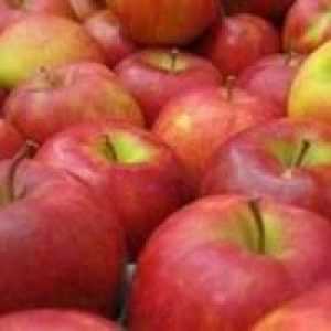 Este posibilă înghețarea merelor pentru iarnă, astfel încât acestea să fie vitamine gustoase și…