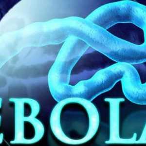 Pot obține febra Ebola prin banane și alte produse importate?