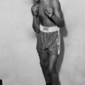 Muhammad Ali: scurtă biografie