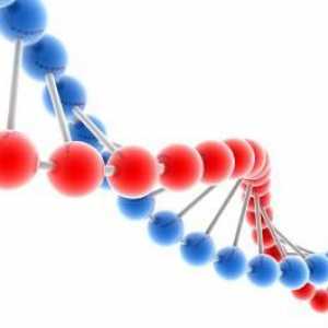 Afecțiunile multifactoriale, genetica și prevalența acestora