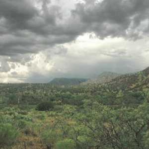 Monsoon climat: caracteristici și geografie