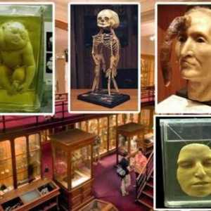 Muzeul de istorie medicală Mutter, Pennsylvania: istorie, exponate, fotografii