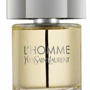 Parfum bărbați Yves Saint Laurent: o revizuire a liniei L`Homme