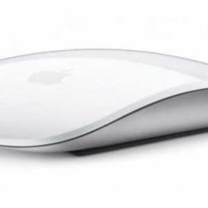 Mouse-ul Apple Magic Mouse: comentarii. Cum se conectează Mouse-ul Apple Magic?