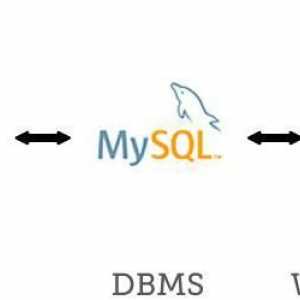 MySQL este ceea ce și unde se aplică?
