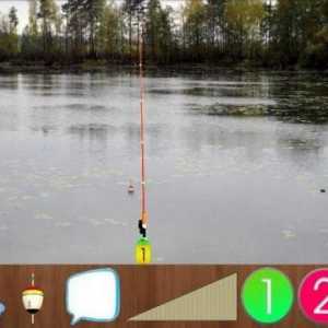 Ce să prindeți în "Pescuitul real": o revizuire a jocului și recomandări