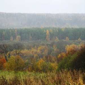 Parcul național Valdai: descriere