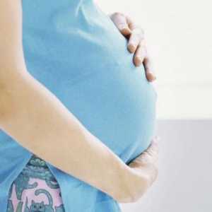 Stomac abdominal pentru simularea sarcinii - o prezentare generală, caracteristici, tipuri și…