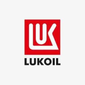 Cartea de economii "Lukoil": avantaje, cum să obțineți și cum să utilizați discountul