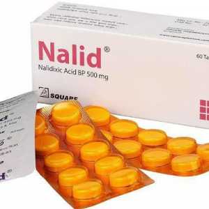 Acid nalidixic: utilizare în medicină