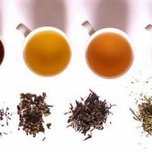 Băuturi de ceai: beneficii, rețete