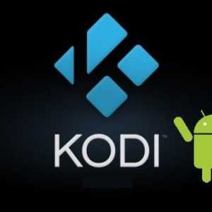 Setările Kodi pe Android: instrucțiuni pas cu pas și cele mai bune practici