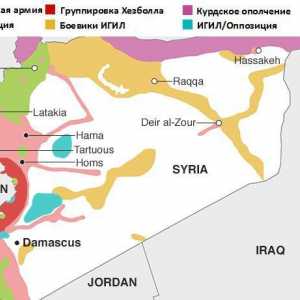 Ofensiva armatei siriene. Operațiuni speciale în Siria