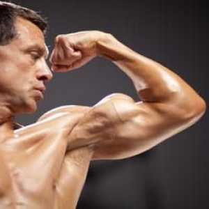 Culturism natural: mușchii fără steroizi. Program de formare