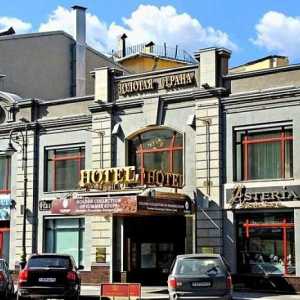 Ieftine mini-hoteluri în centrul orașului Saint Petersburg: adrese, descriere, recenzii