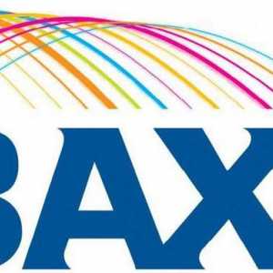 Boiler defect `Baxi`. Repararea cazanelor pe gaz `Baxi`