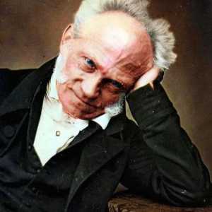 Filosoful german Schopenhauer Arthur: biografie și lucrări