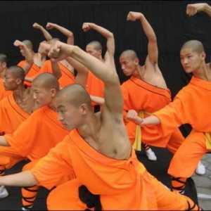 Performanțe neobișnuite și imprevizibile ale filmului "călugări Shaolin"