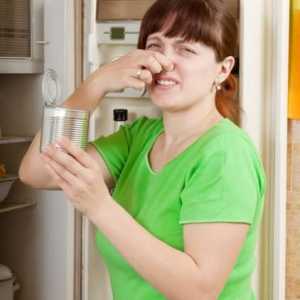 Câteva sfaturi despre cum să scapi de mirosul din frigider