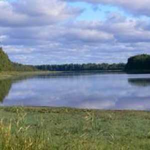 Rezervația Nizhnesvirsky - conservarea patrimoniului natural