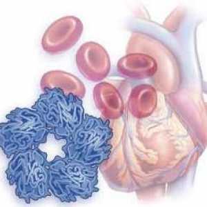 Norma CRP în analiza biochimică a sângelui