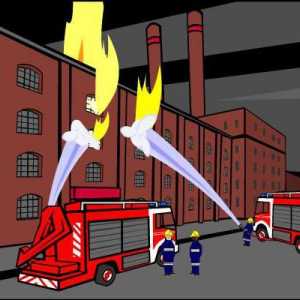 Documente normative privind siguranța împotriva incendiilor pentru organizațiile tuturor formelor…