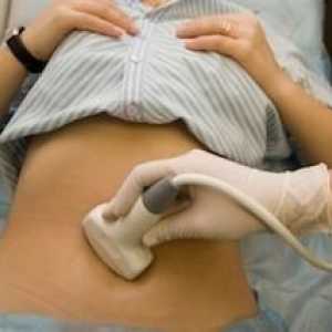 Normele privind mărimea uterului pe ultrasunete în timpul sarcinii și după naștere. Dimensiunea…