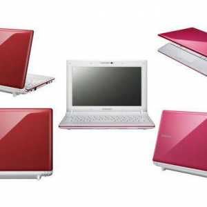 Laptop Samsung N150 Plus: specificatii, descrierea si recenzii ale proprietarilor
