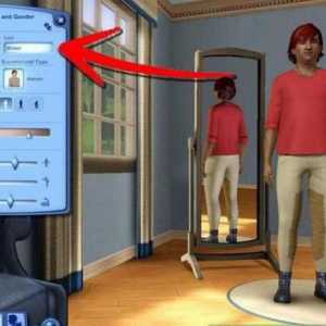 Știri despre jocul popular. Crearea caracterelor "The Sims 3"